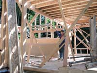 Ceiling joists for the main floor